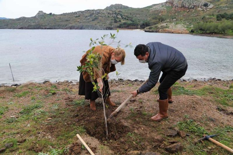 SAHİLLERİMİZDE AĞAÇLANDIRMA ÇALIŞMASI BAŞLATTIK