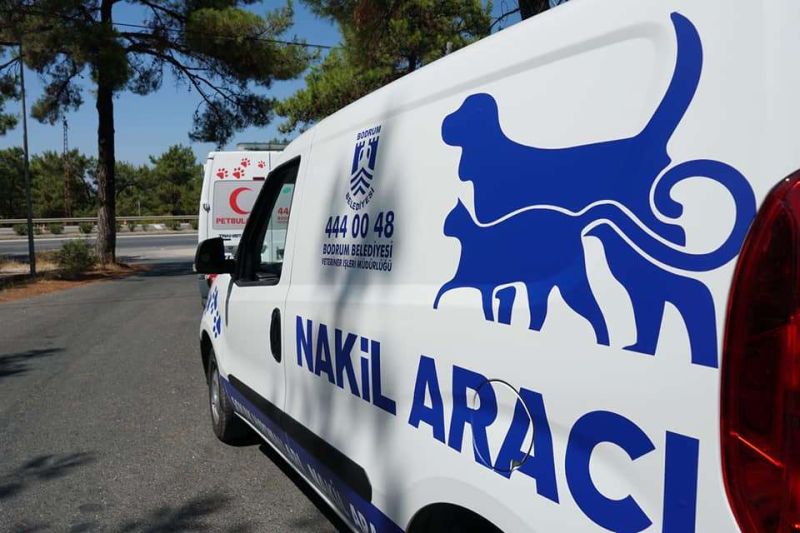 SOKAK HAYVANLARI NAKİL ARAÇLARIMIZ HİZMETE GİRDİ