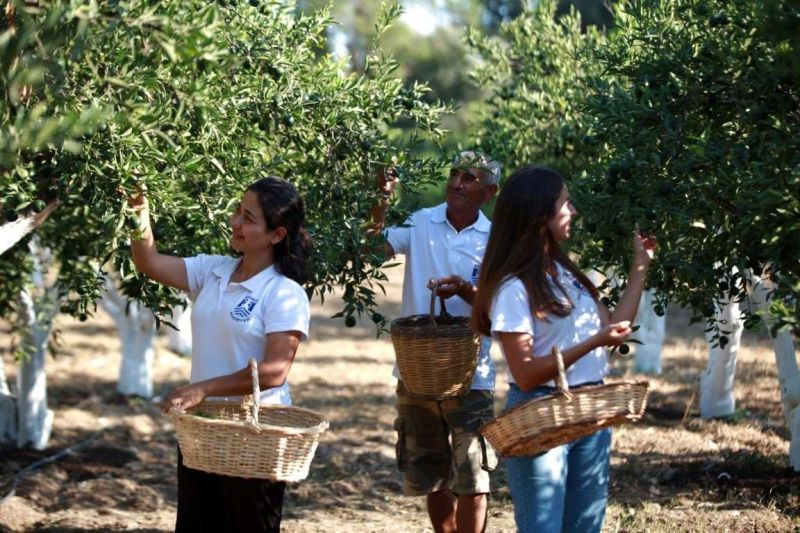 YEŞİL BODRUM MANDALİNİ BULUŞMASI GERÇEKLEŞTİ