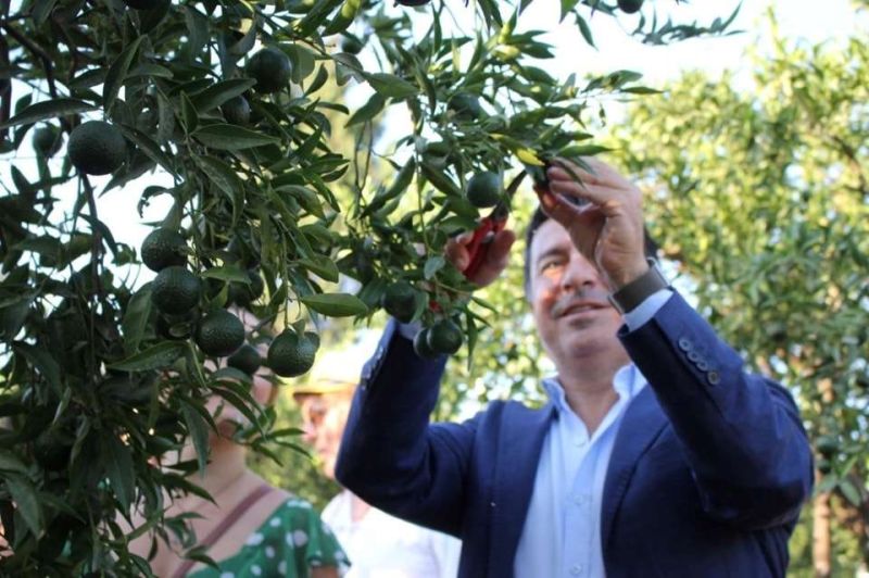 YEŞİL BODRUM MANDALİNİ BULUŞMASI GERÇEKLEŞTİ