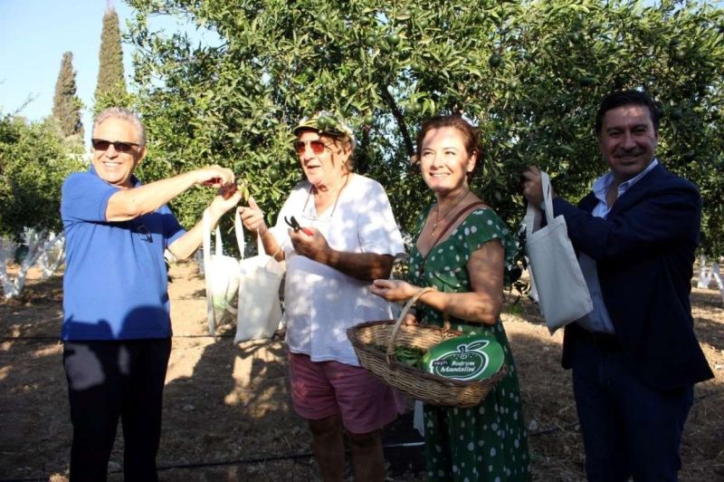 YEŞİL BODRUM MANDALİNİ BULUŞMASI GERÇEKLEŞTİ