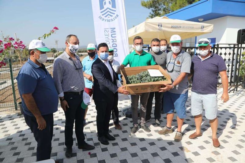 140 BİN KIŞLIK FİDEYİ ÜRETİCİLERİMİZE HİBE ETTİK