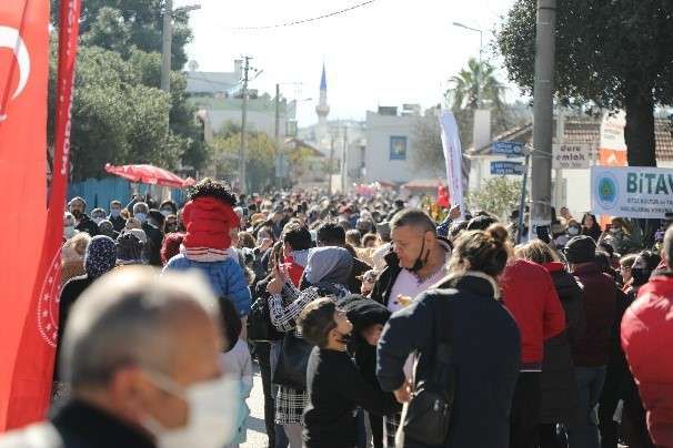 15. BODRUM MANDALİNA HASAT FESTİVALİ GERÇEKLEŞTİ