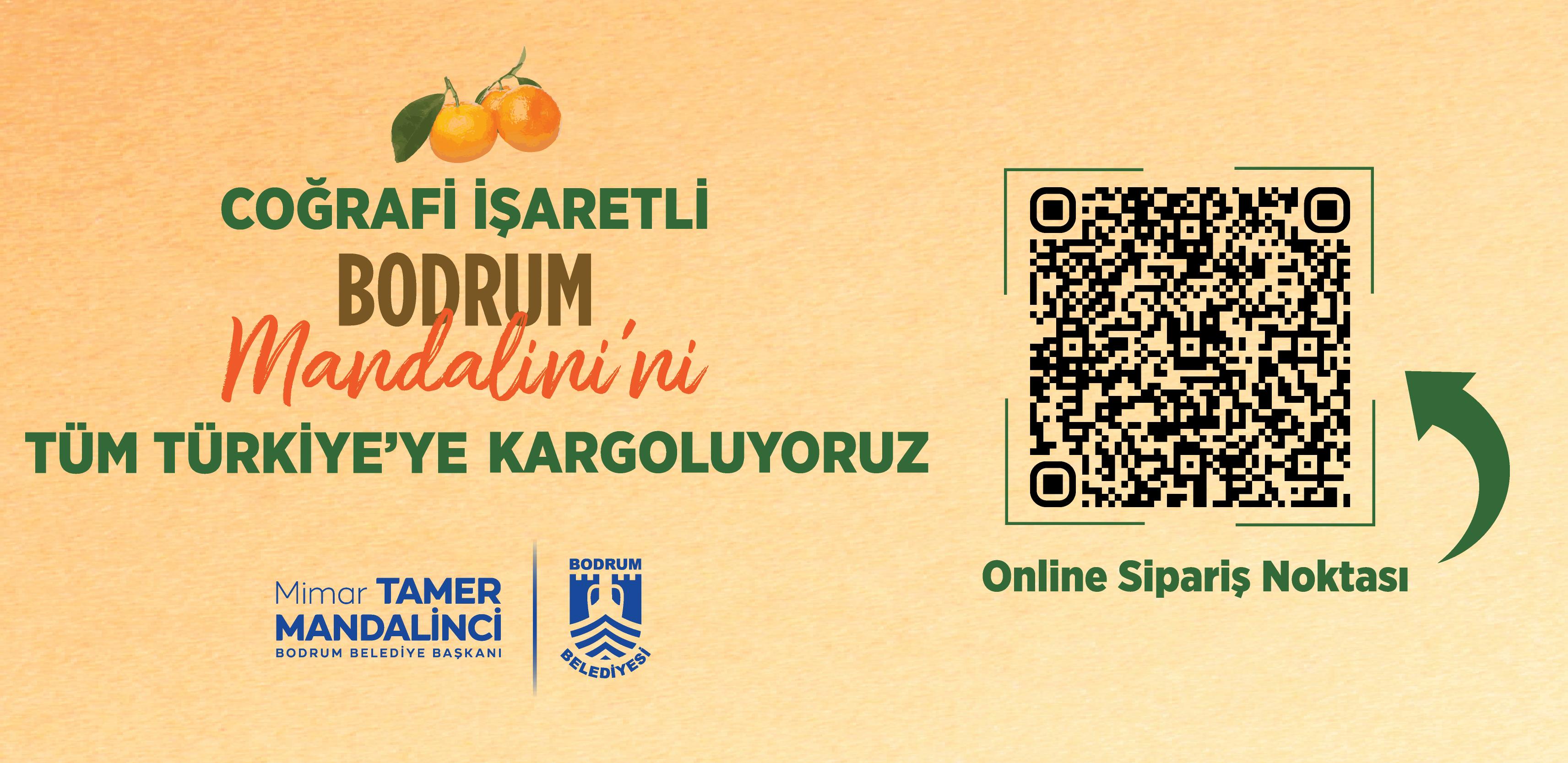 Mandalina Festivali QR