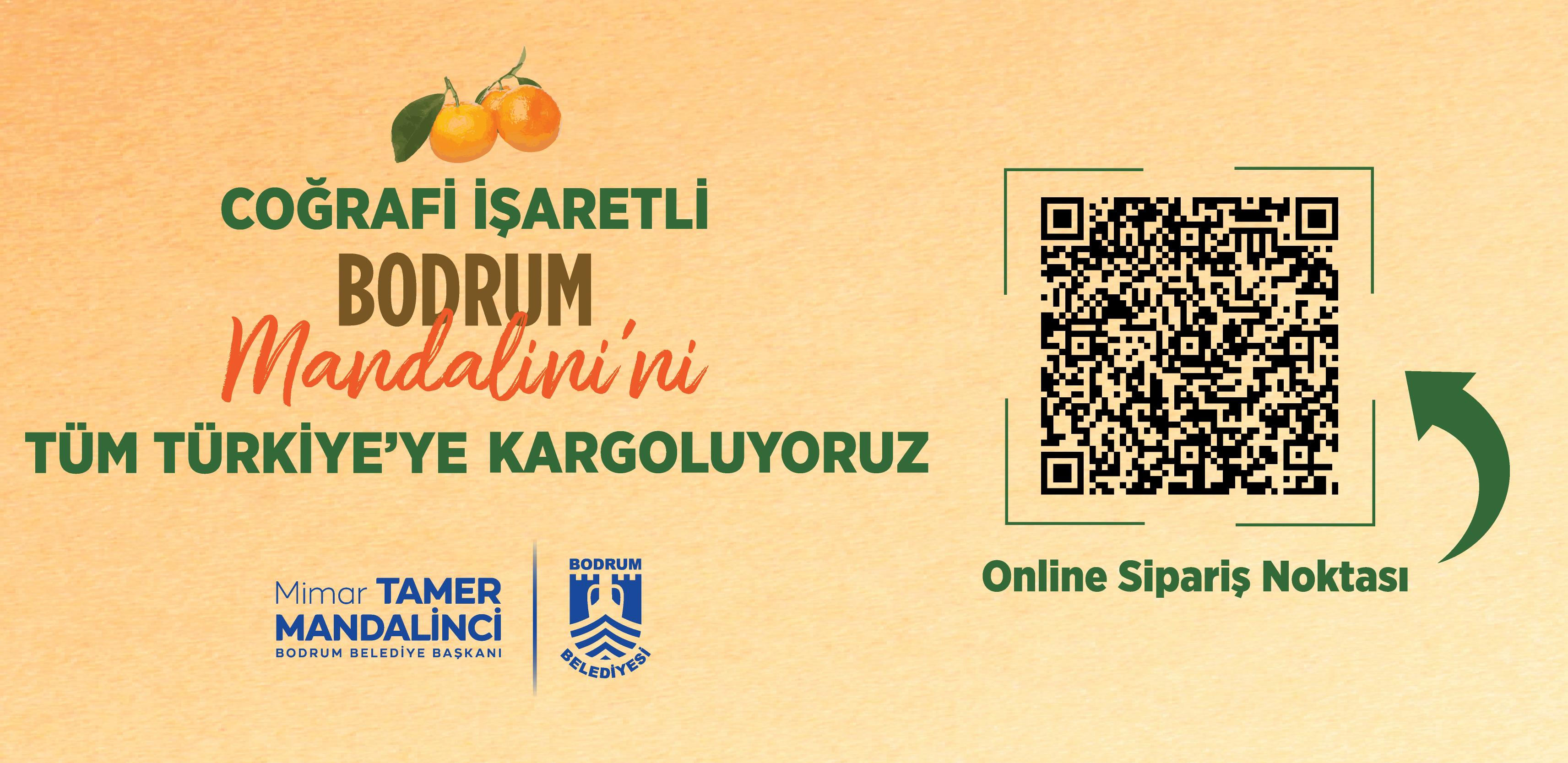 Mandalina Festivali QR