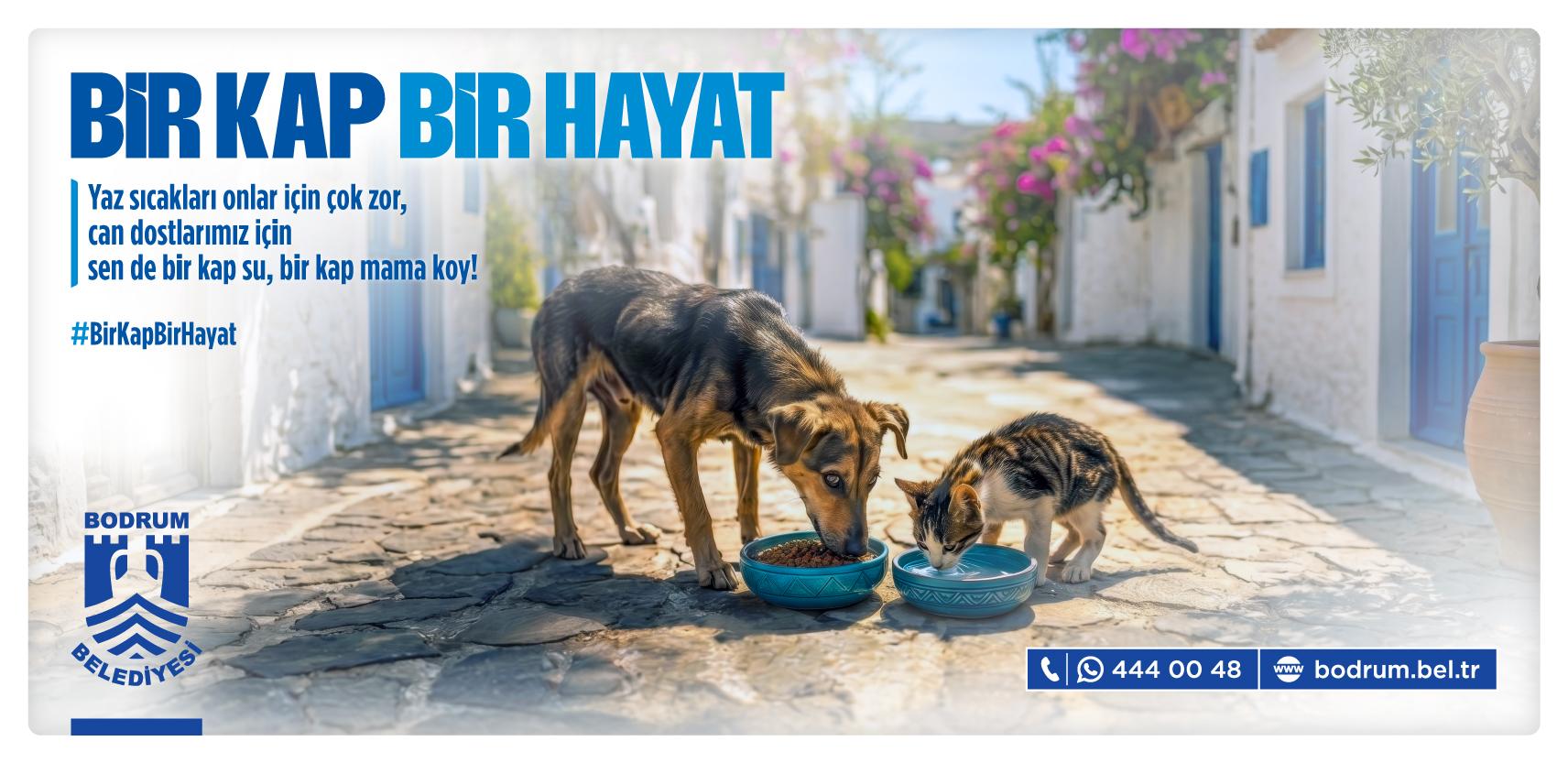 bir kap bir jayat